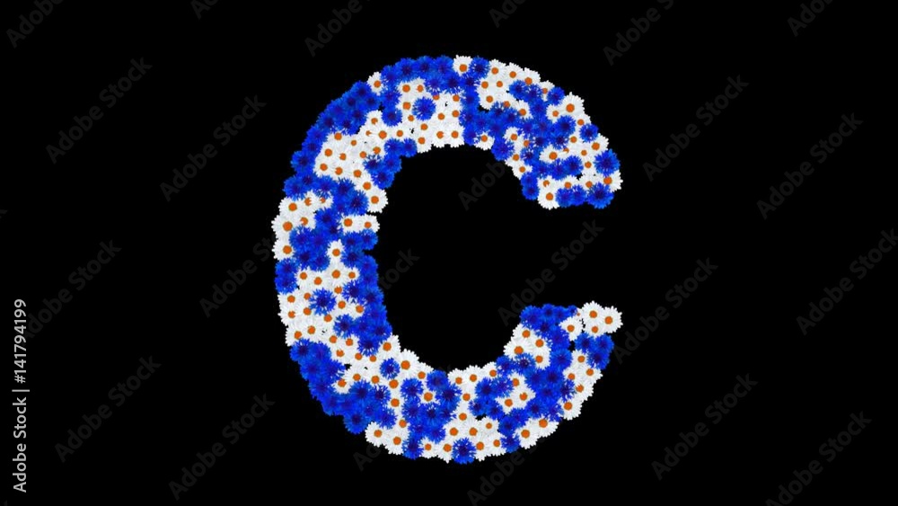 Letter C made of cornflowers and white daisy flowers with alpha channel Letter C made of cornflowers and white daisy flowers with alpha channel