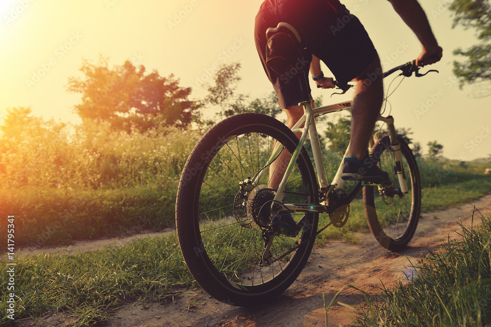 Obraz premium The man is riding a bicycle in the park