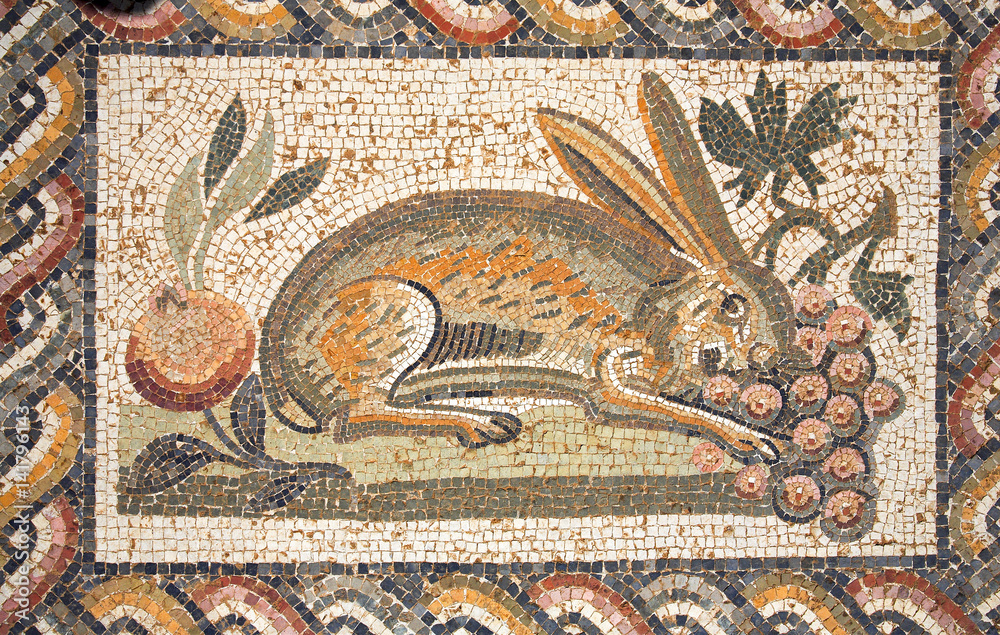 Mosaïque / El Jem / Site classé UNESCO / Tunisie Mosaïque / El Jem / Site classé UNESCO / Tunisie