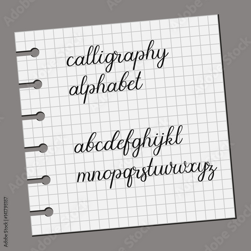 Calligraphy alphabet. Calligraphy  handwritten letters. Vector illustration.