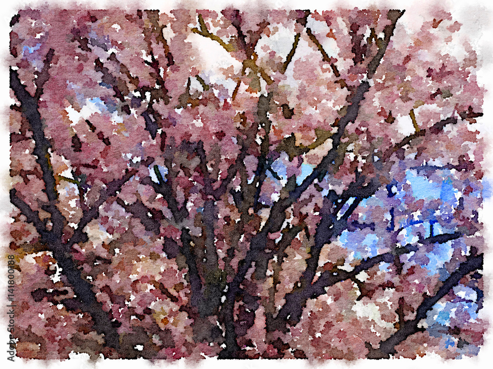 Φωτογραφία Digital watercolor painting of a close up of a Cherry Blossom tree showing the dark branches with flowering pink Cherry Blossoms