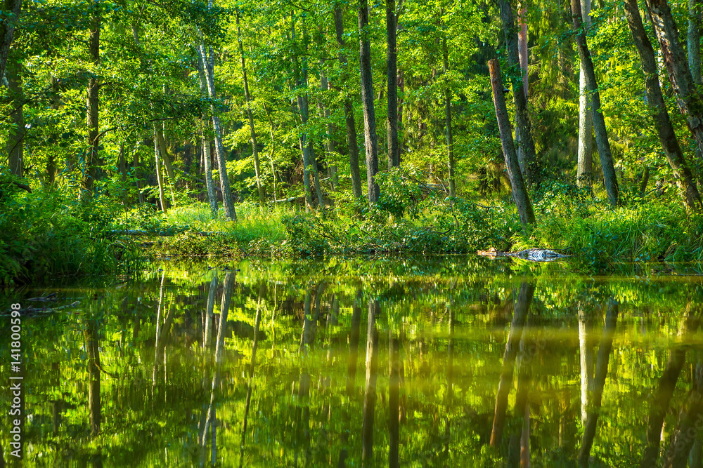 Kayaking by wild river in poland (Omulew river) Kayaking by wild river in poland (Omulew river)