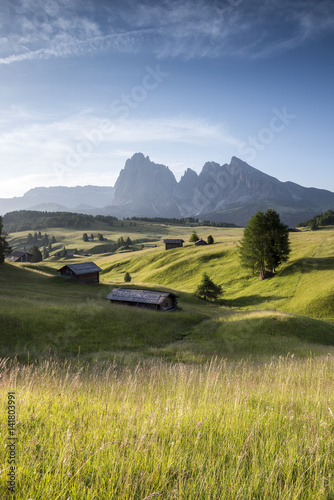 View of grassy landscape against blue sky