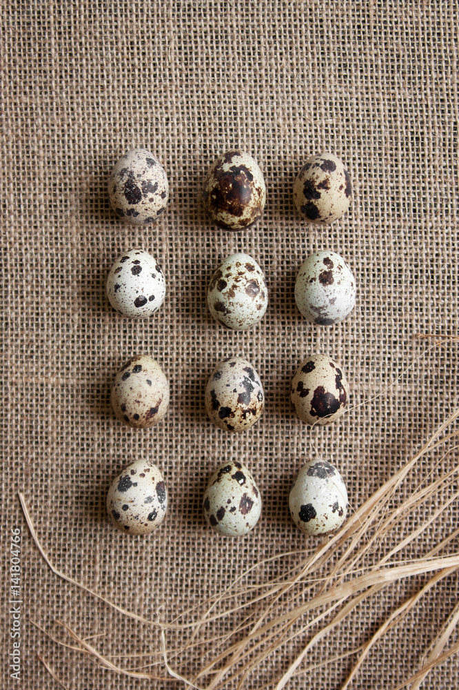 Quail eggs Quail eggs