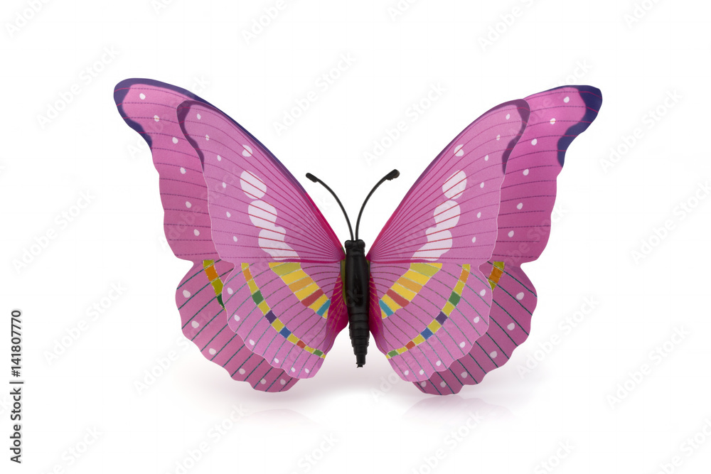 Pink Butterfly on a White Background