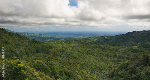 Grenada island - Grand Etang National Park - Atlantic coast