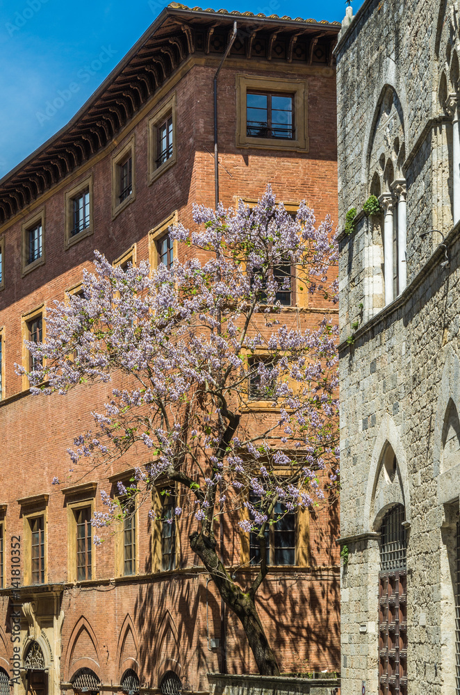 Siena, Italy is a world heritage site in Tuscany and  the medieval city is also one of the nations most visited tourist attractions