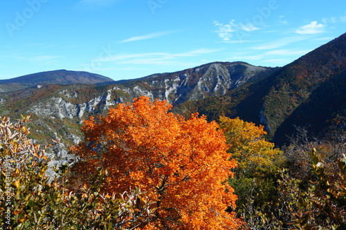 Paysage d'automne dans les Pyrénées audoises, Occitanie dans le sud de la France