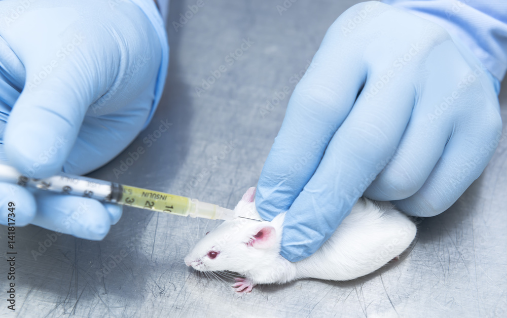 Researcher administered drug into the mice by subcutaneous injection