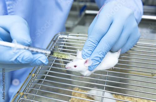 Researcher administered drug into the mice by subcutaneous injection
