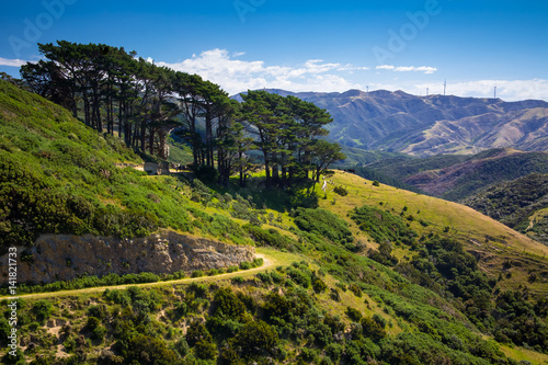 Location: New Zealand, capital city Wellington, North Island. View from the SkyLine track and Mount KayKay