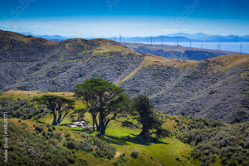Location: New Zealand, capital city Wellington, North Island. View from the SkyLine track and Mount KayKay