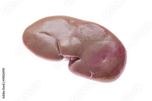 Pig kidney on a white background