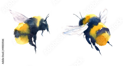 Print op canvas Watercolor Bumblebees In Flight Hand Painted Summer Illustration Set isolated on