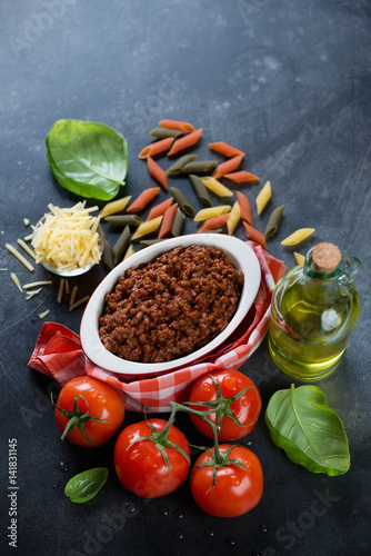 Bowl with bolognese sauce, raw pasta and other italian traditional cooking components, studio shot