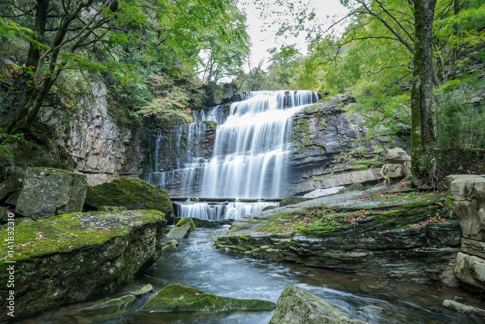 Obraz premium Stream Flowing Through Rocks in forest.