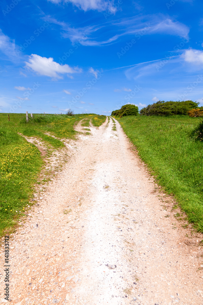 Obraz premium North Downs Way National Trail in southern England