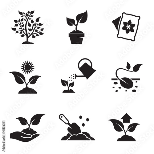 Plant growing icons set