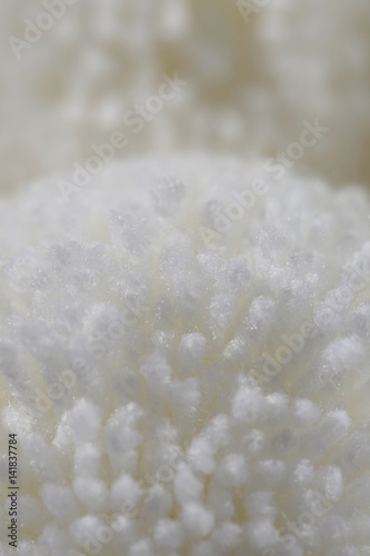 White fluffy pompoms background. Woolen texture