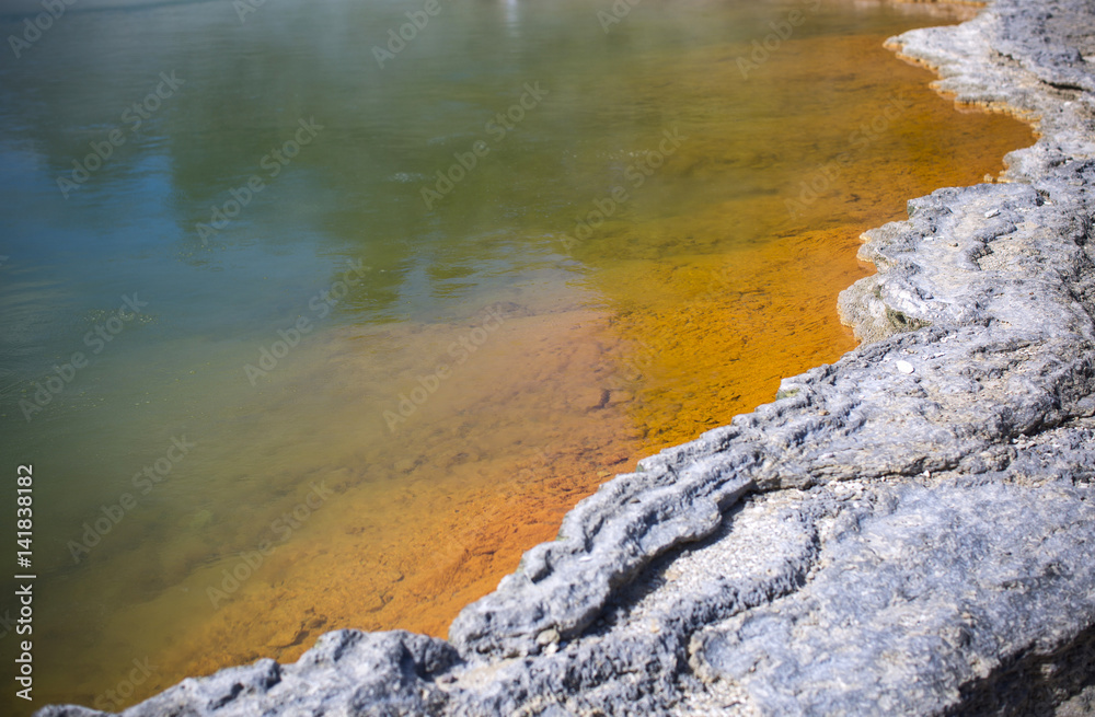 Hot thermal spring, New Zealand
