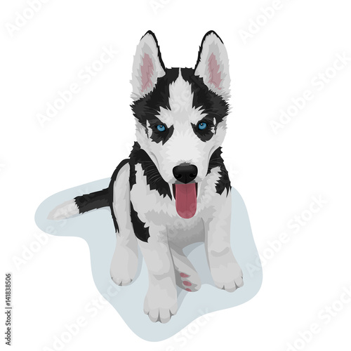 Black and white Siberian husky dog with blue eyes and sticking out tongue. Hand drawn portrait of cute husky puppy. Vector illustration