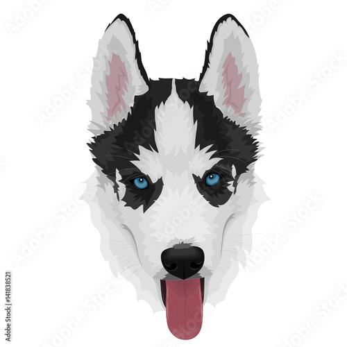 Black and white Siberian husky dog with blue eyes and sticking out tongue. Hand drawn portrait of cute husky puppy. Vector illustration