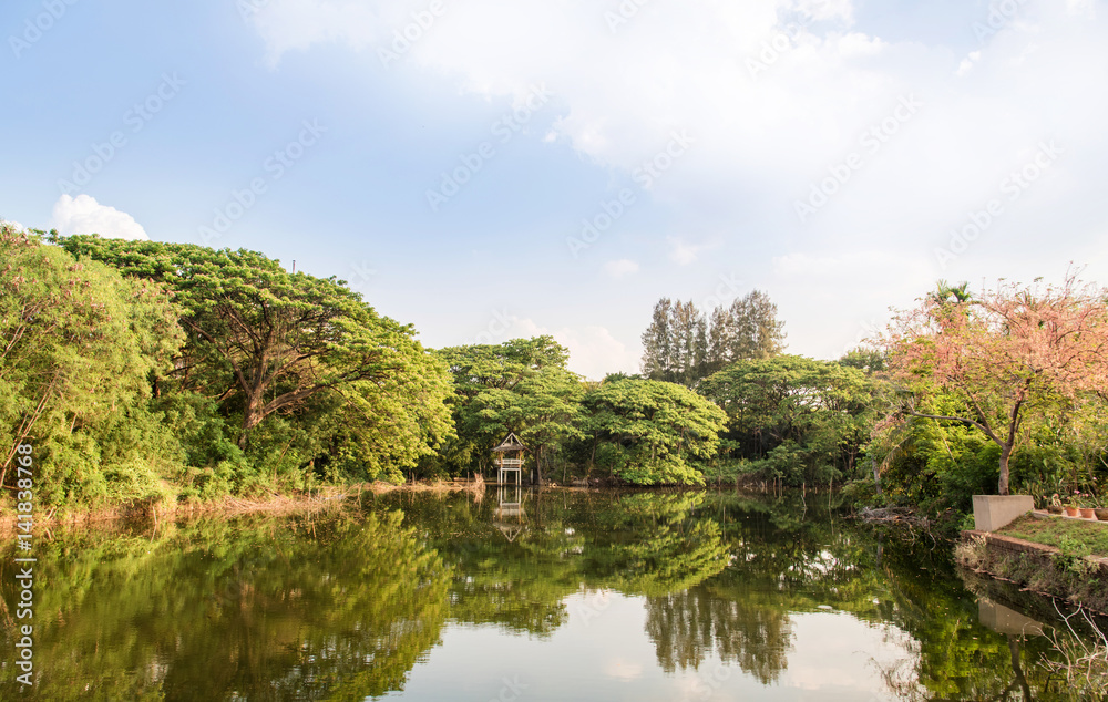 Public gardens in thailand.Green Park