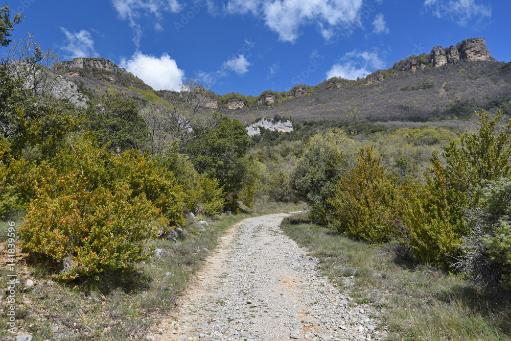Road in the mountain surroundings of monasterio de Leyre
