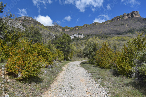 Road in the mountain surroundings of monasterio de Leyre