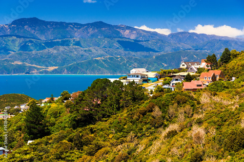 beautiful neigborhood with houses. Location: New Zealand, capital city Wellington