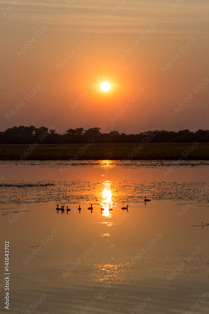 Naklejka premium Sunset in Australia
