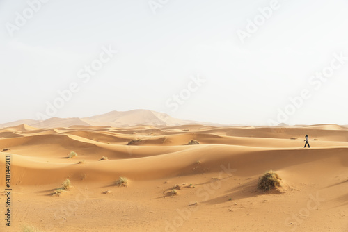 Gold desert in sunset.