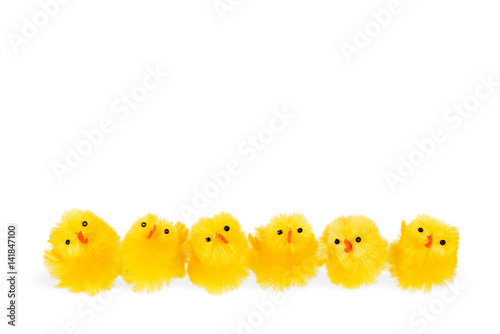 Six little easter chickens on a row isolated on a white background