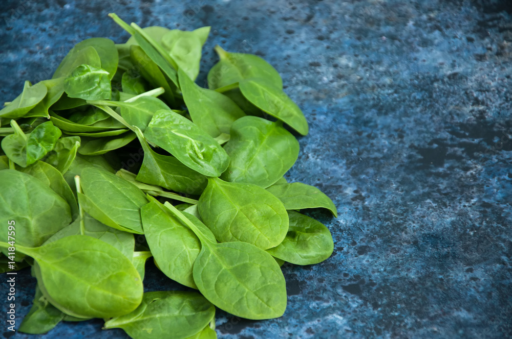 Fresh baby spinach leaves on a blue textured background. Copy space. Fresh baby spinach leaves on a blue textured background. Copy space.