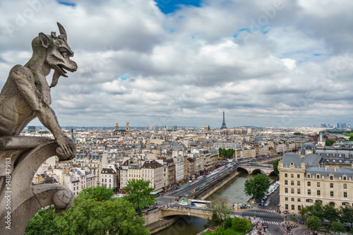 Gargoyle of Paris on Notre Dame Cathedral church and Paris cityscape