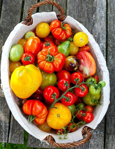 colorful tomatoes in basket