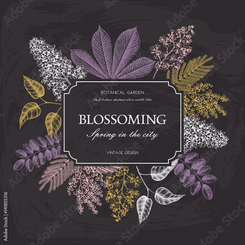 Vector card design with hand drawn blossoming trees. Floral wedding invitation template. Vintage flower illustration