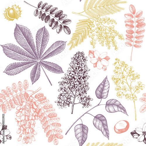 Seamless pattern with hand drawn blossoming trees illustrations. Vintage floral design. Vector botanical background. Hand sketched elements.