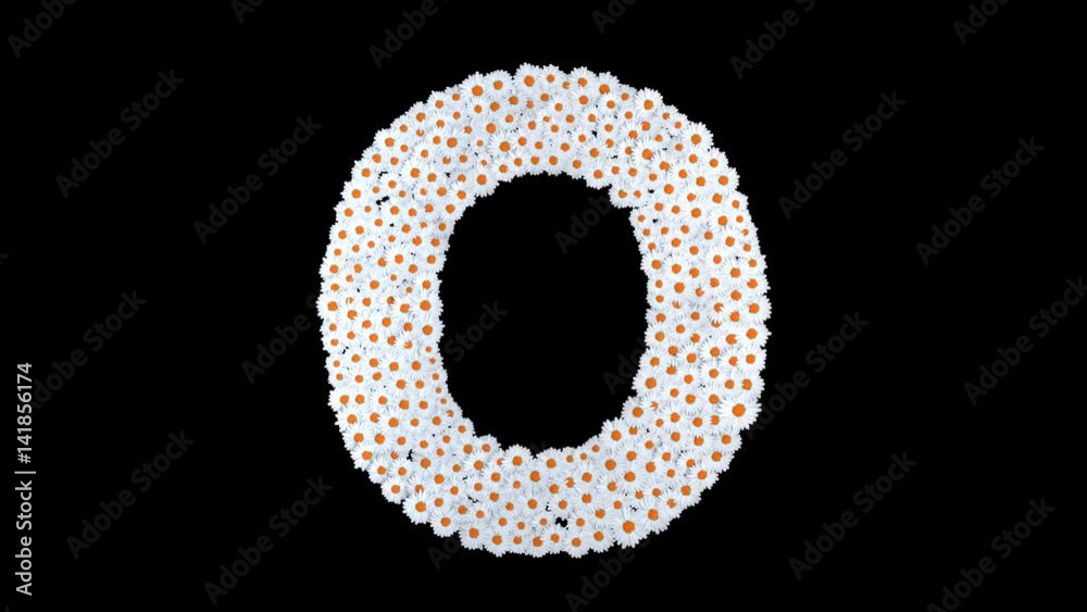 Letter O from white daisy flowers with alpha channel Letter O from white daisy flowers with alpha channel