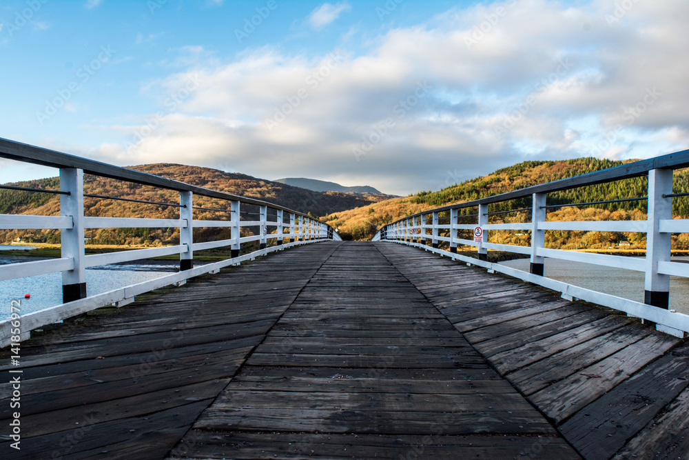 Fototapeta premium bridge