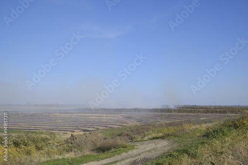 Landscape burning field. The burning of rice straw in the fields. Rice paddies