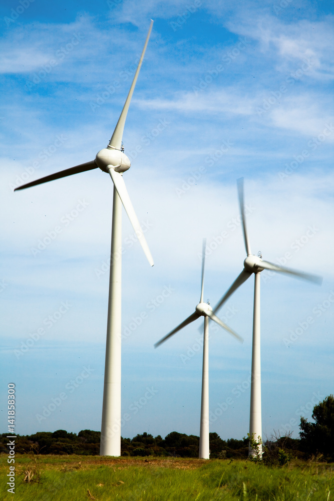 Fototapeta premium éolienne dans un champ