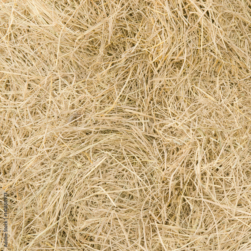 straw background straw background