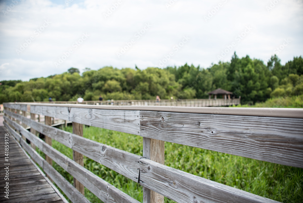 Fenced Pathway at Swamp Park in Florida Fenced Pathway at Swamp Park in Florida