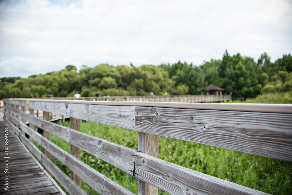 Fenced Pathway at Swamp Park in Florida 