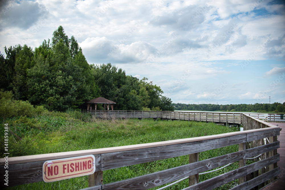 Fototapeta premium Fenced Pathway at Swamp Park in Florida