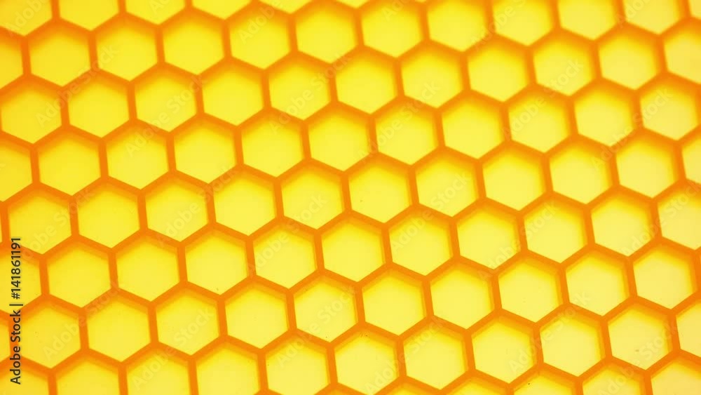 Honey comb. Fragment of honeycomb plastic imitation. Honey comb. Fragment of honeycomb plastic imitation.