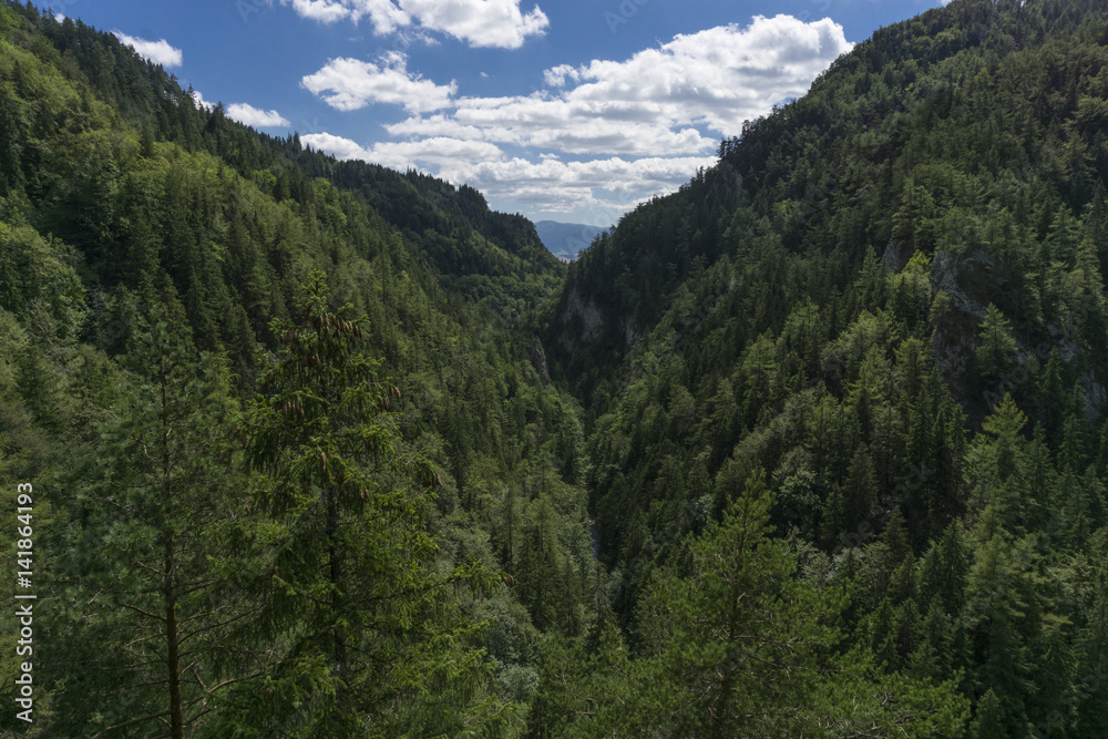 Beautiful lush forests Kvacianska Valley in Slovakia Beautiful lush forests Kvacianska Valley in Slovakia