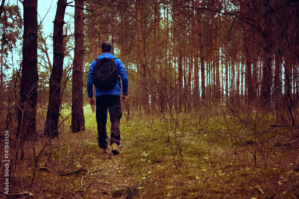 Wandern in den Wäldern