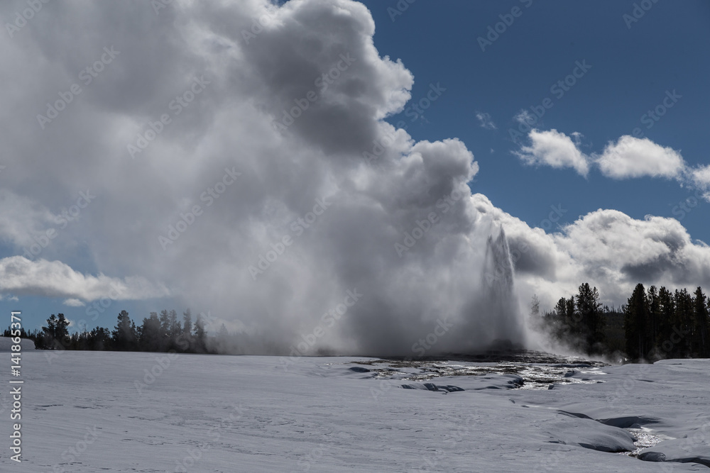 Old Faithful, The famous geyser attraction in Yellowstone known for its hot-water eruptions on a consistent schedule